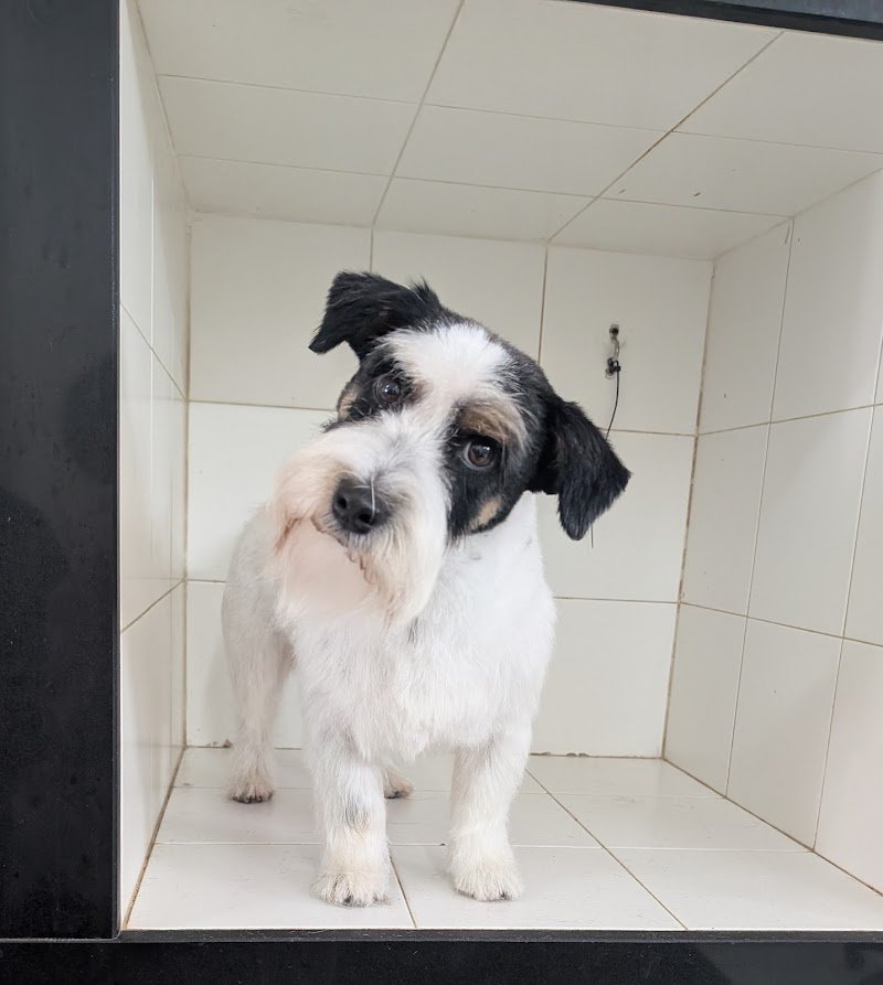 Dolce & Cagnara - Foto 4