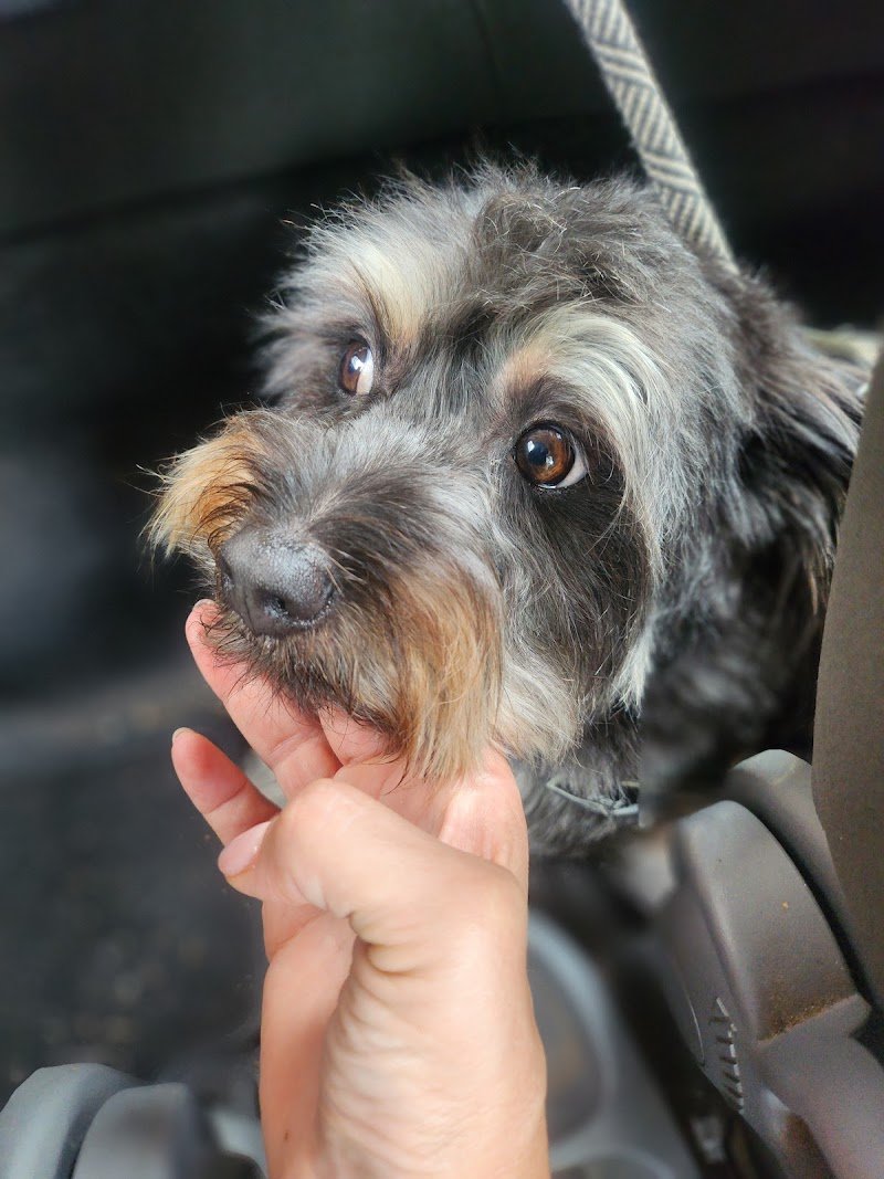 Dolce & Cagnara - Foto 5