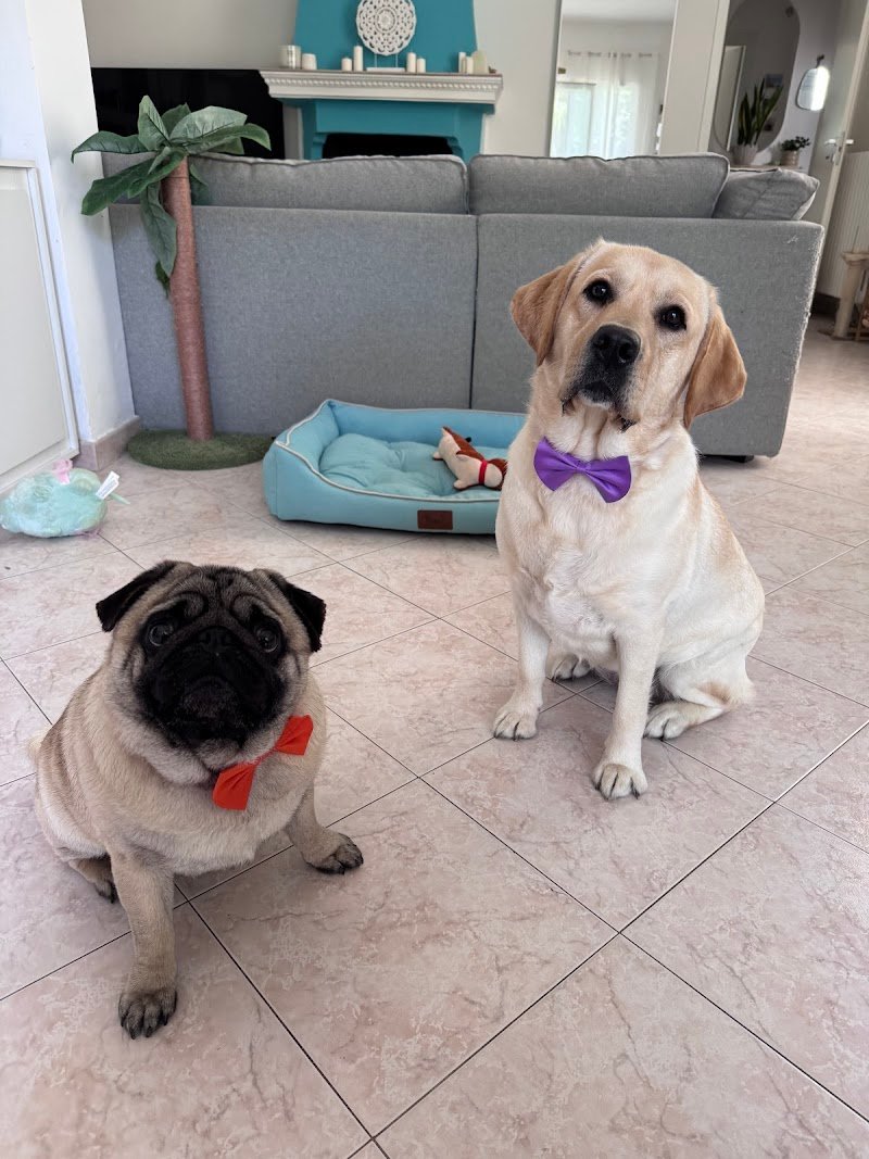 Dolce & Cagnara - Foto 6