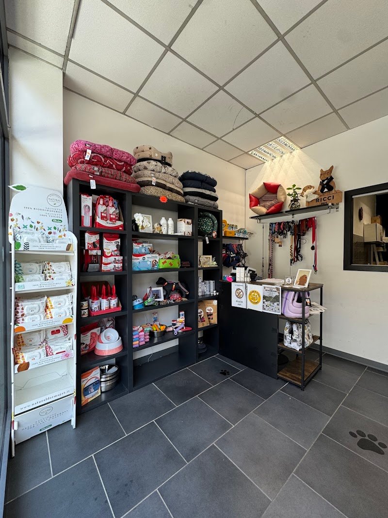 Drydog Toelettatura Viterbo - Foto 3