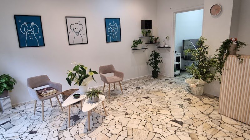 Dusty Dogs Toelettatura - Foto 2