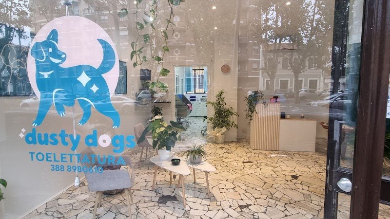 Dusty Dogs Toelettatura - Foto 3