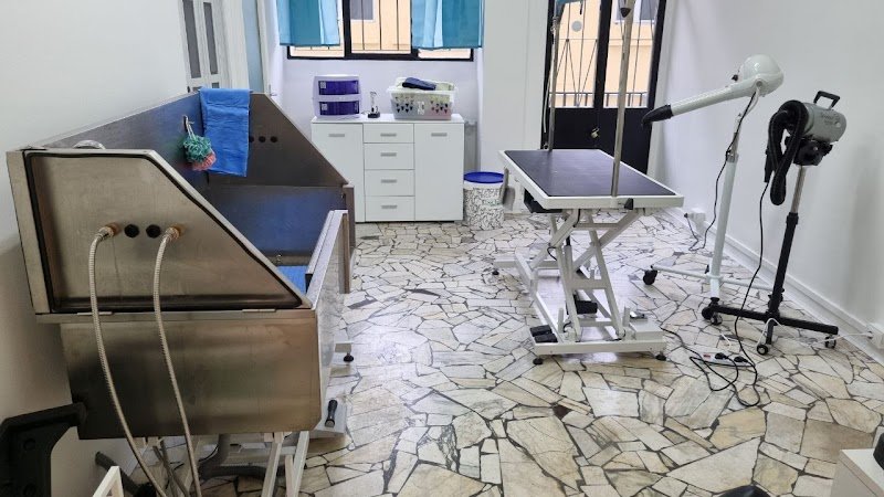 Dusty Dogs Toelettatura - Foto 5