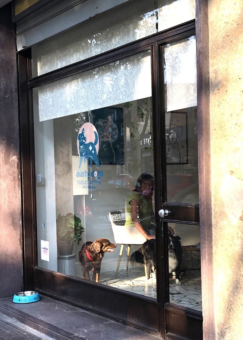 Dusty Dogs Toelettatura - Foto 6