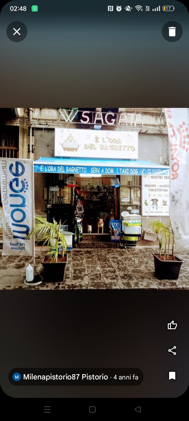 E' L' ORA DEL BAGNETTO ( toelettatura ) - Foto 1