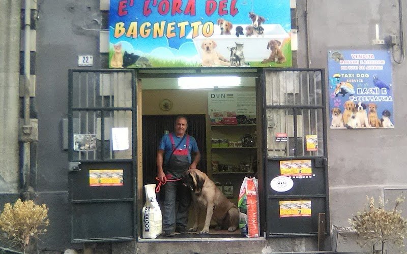 E' L' ORA DEL BAGNETTO ( toelettatura ) - Foto 2