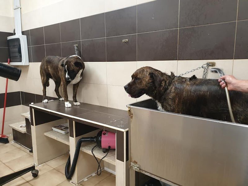 È L'ora Del Bagnetto - Foto 1