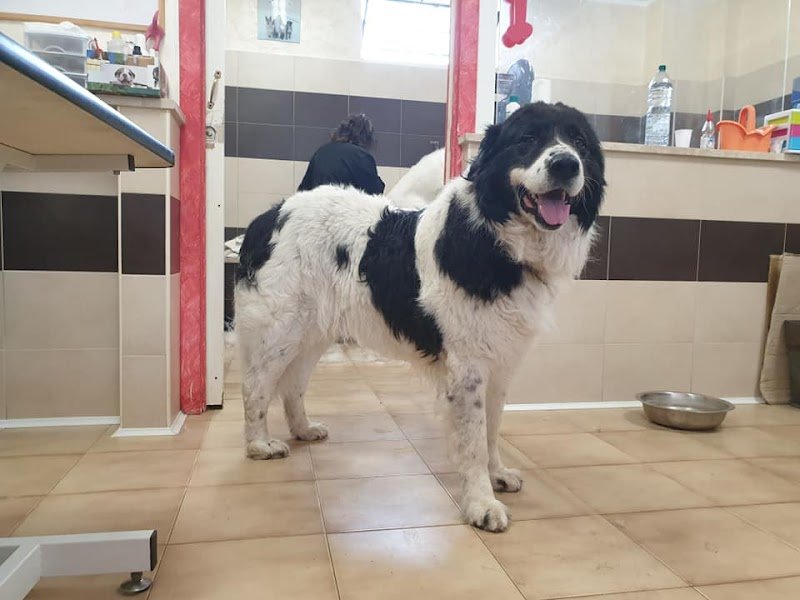 È L'ora Del Bagnetto - Foto 3