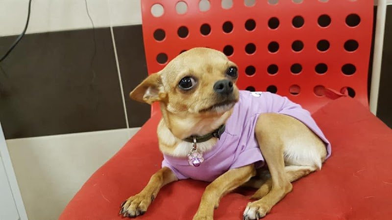 È L'ora Del Bagnetto - Foto 4