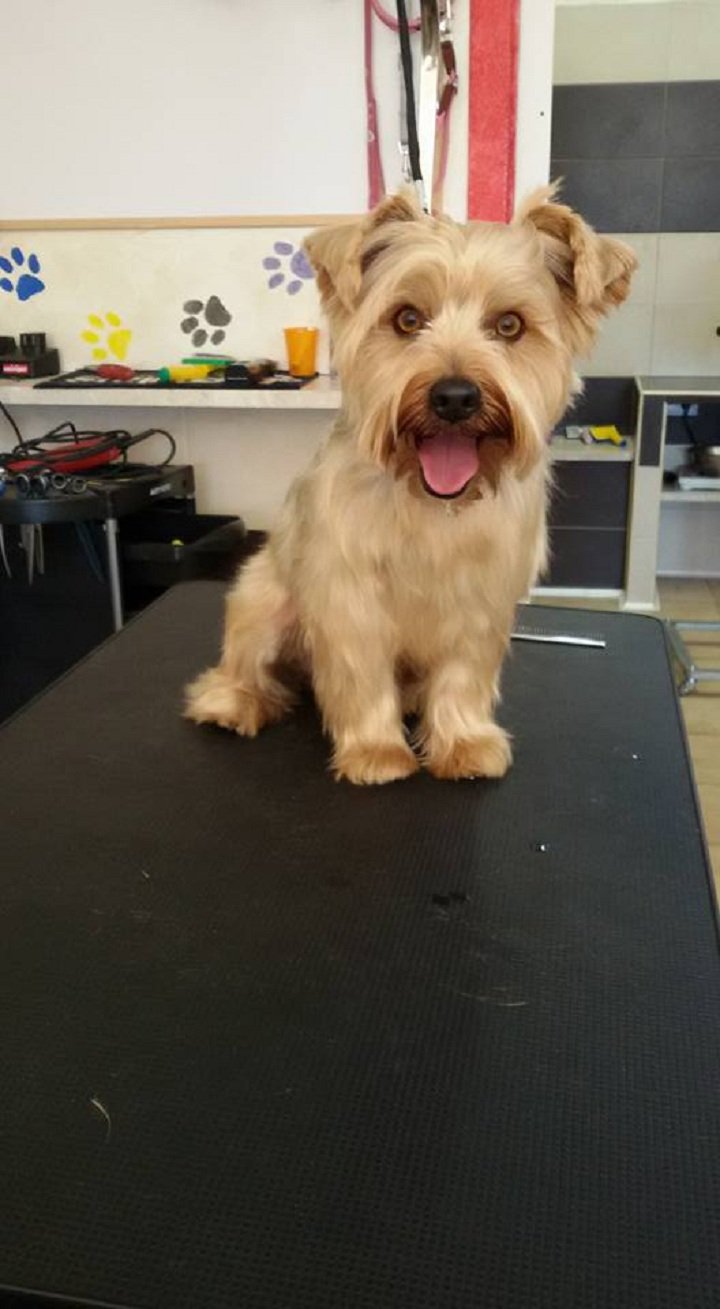 È L'ora Del Bagnetto - Foto 5