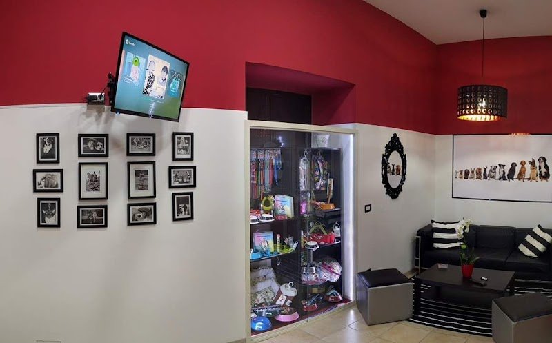 Eccentric Dogs - Foto 3