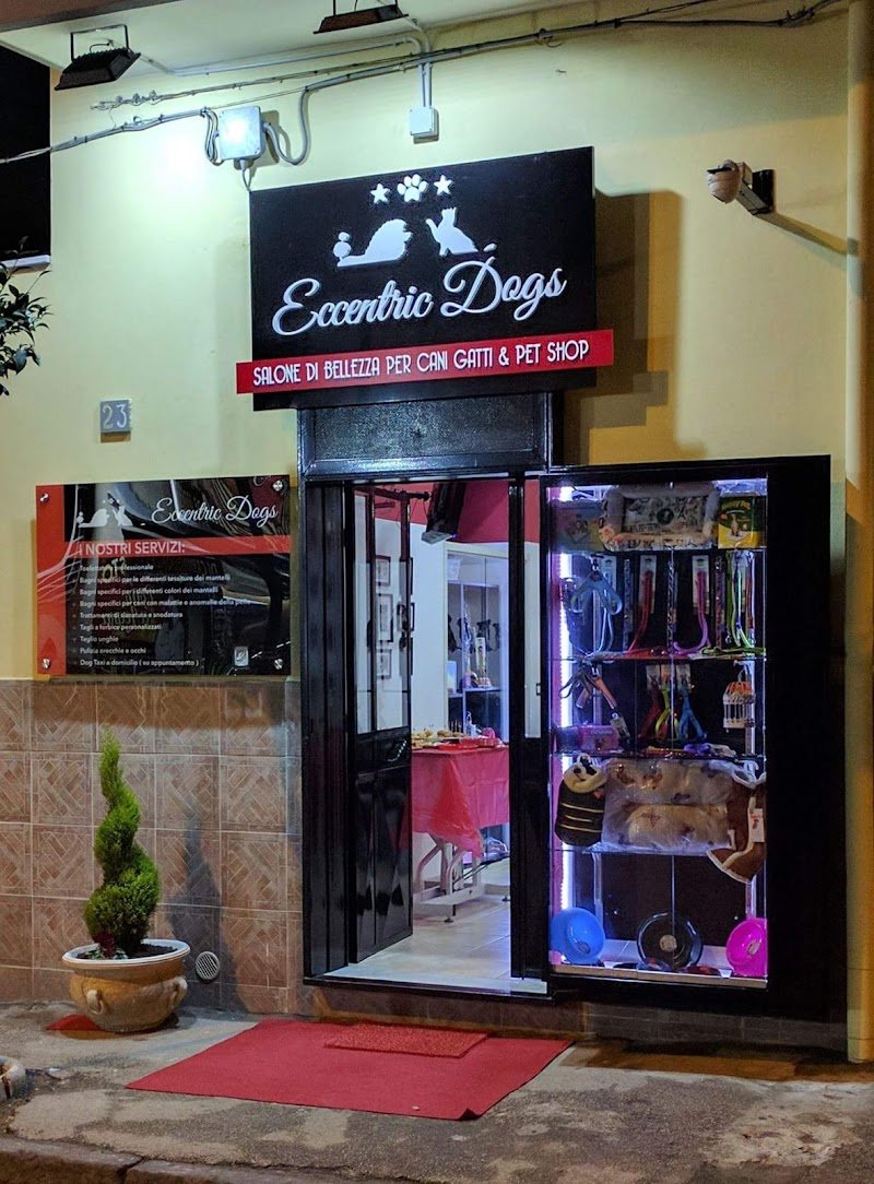 Eccentric Dogs - Foto 4