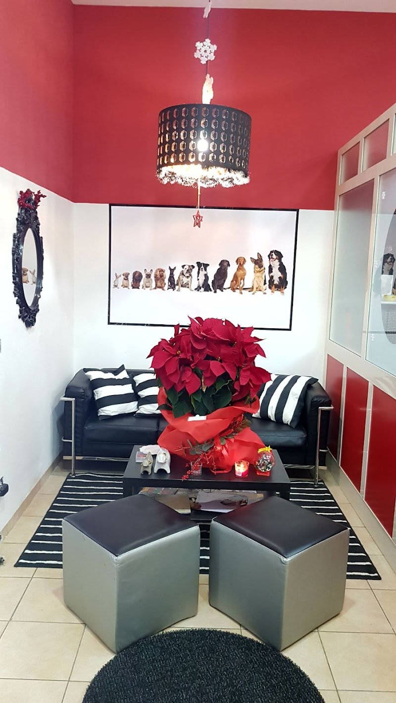 Eccentric Dogs - Foto 6