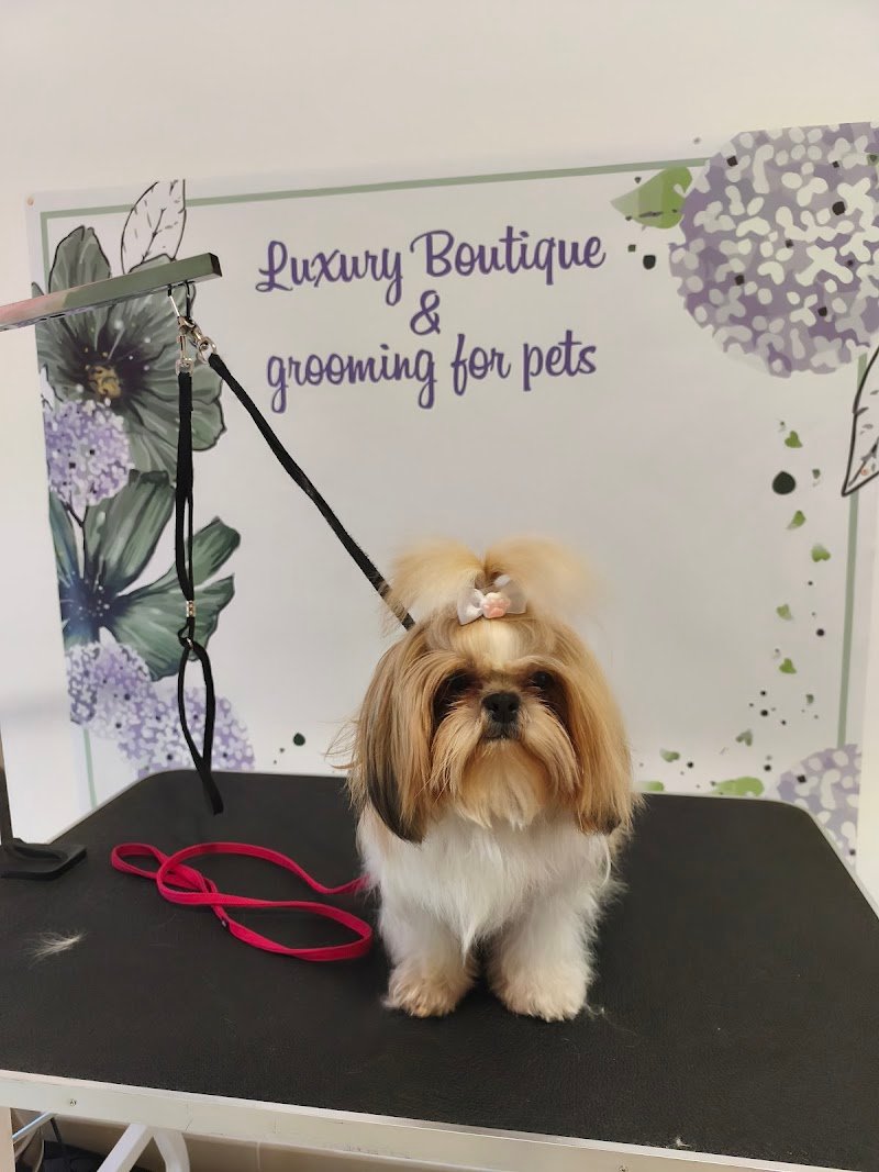 Ego luxury boutique & grooming for Pets - Foto 6