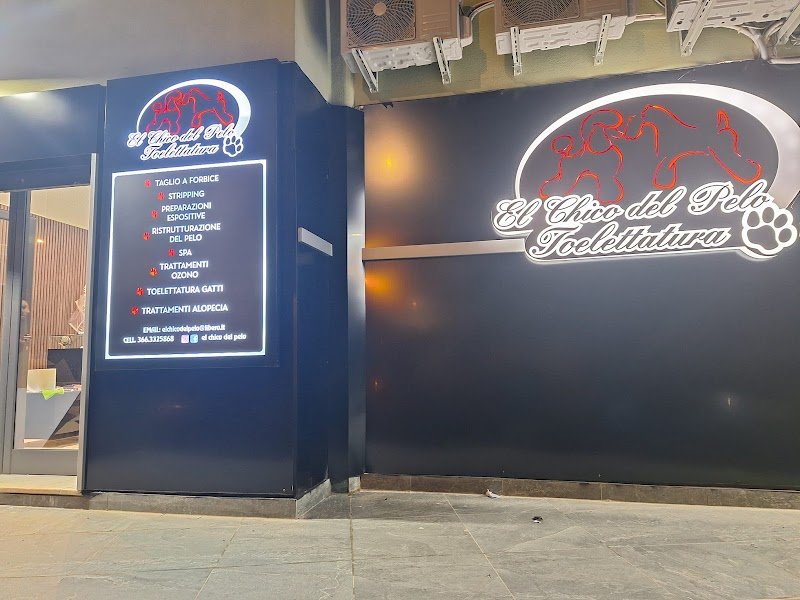 El Chico Del Pelo Toelettatura - Foto 5