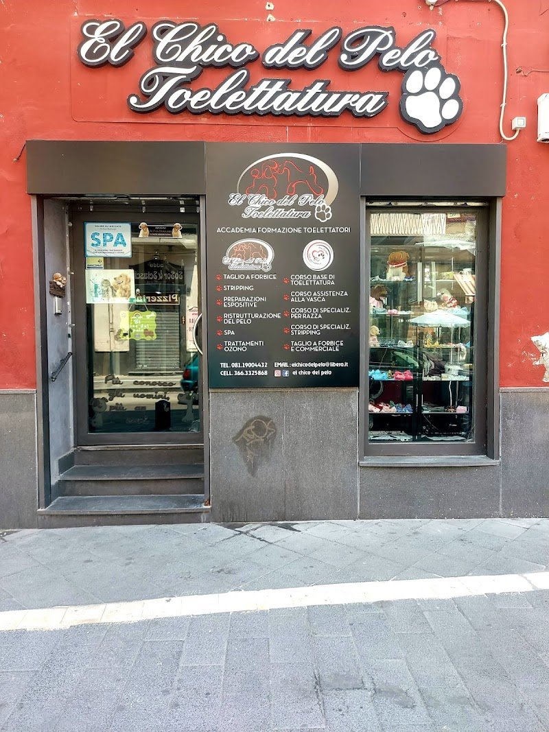 El Chico Del Pelo Toelettatura - Foto 2