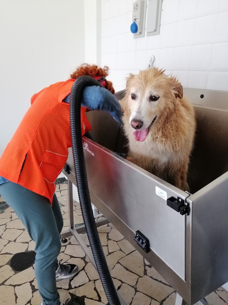 El me cagneto - Foto 2