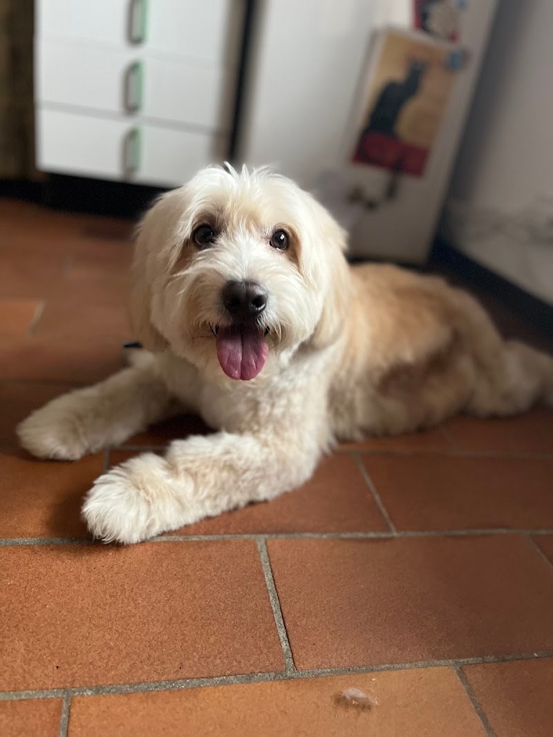 El me cagneto - Foto 3