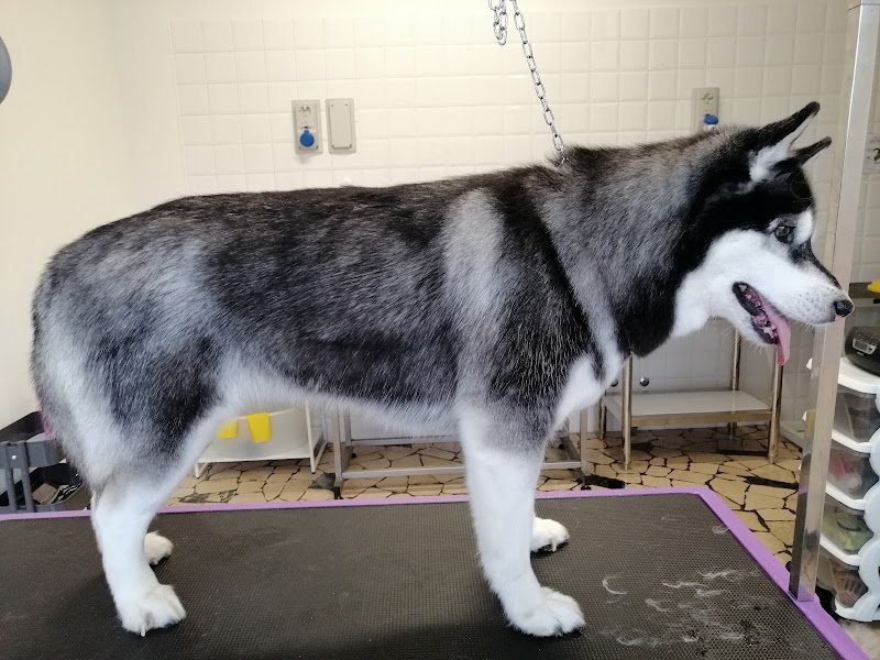 El me cagneto - Foto 4