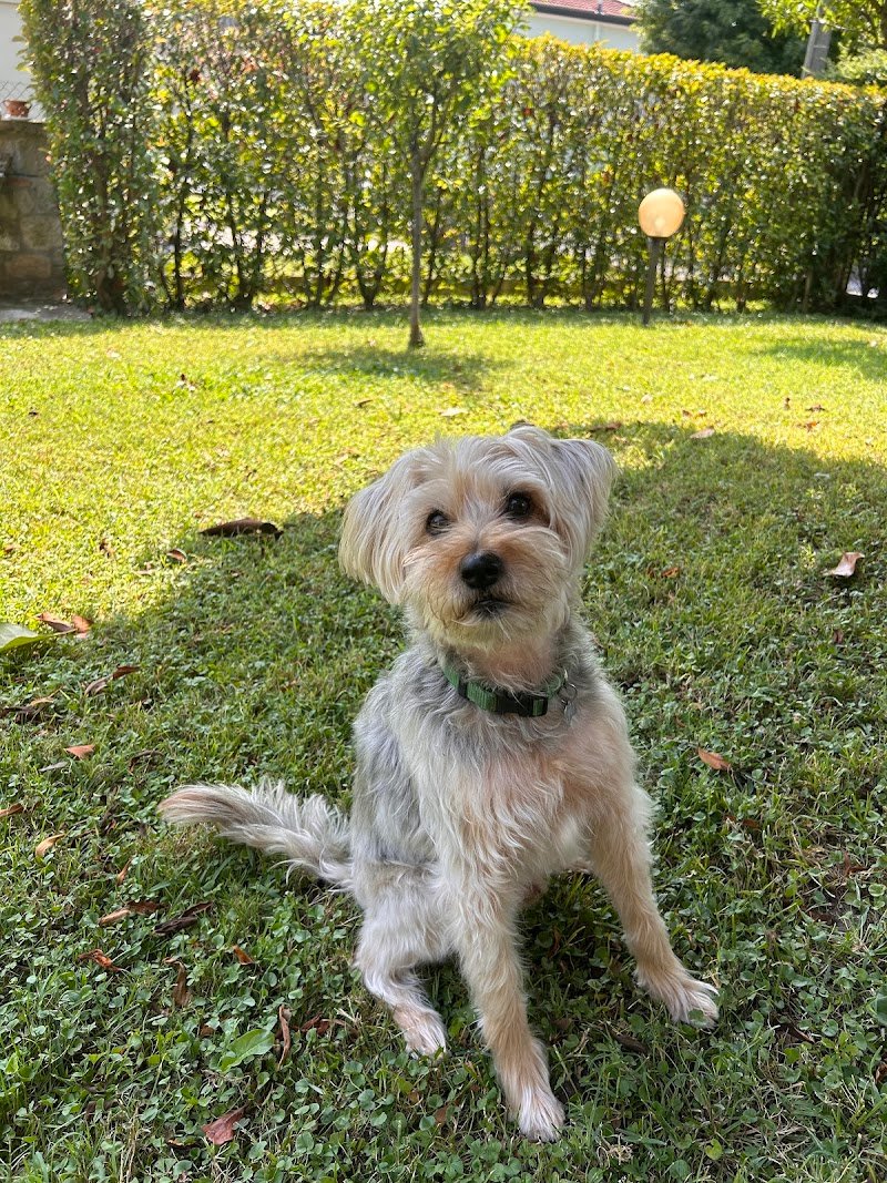 El me cagneto - Foto 6