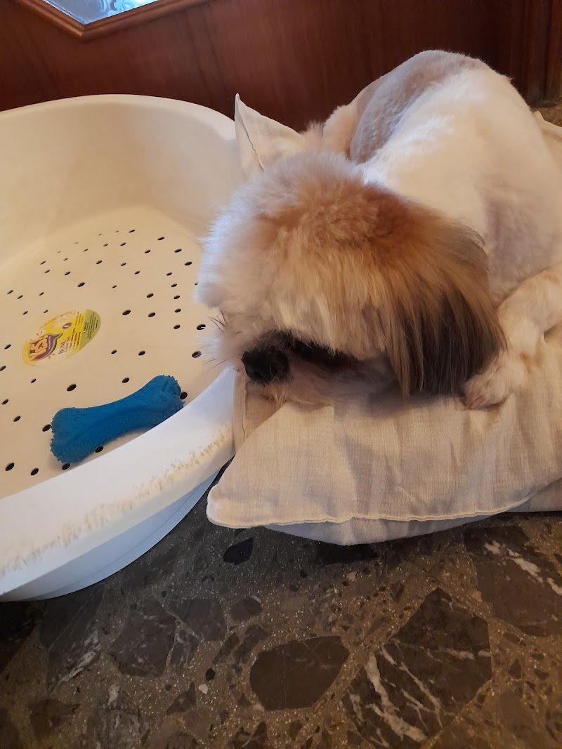 El Peluquero - Foto 1