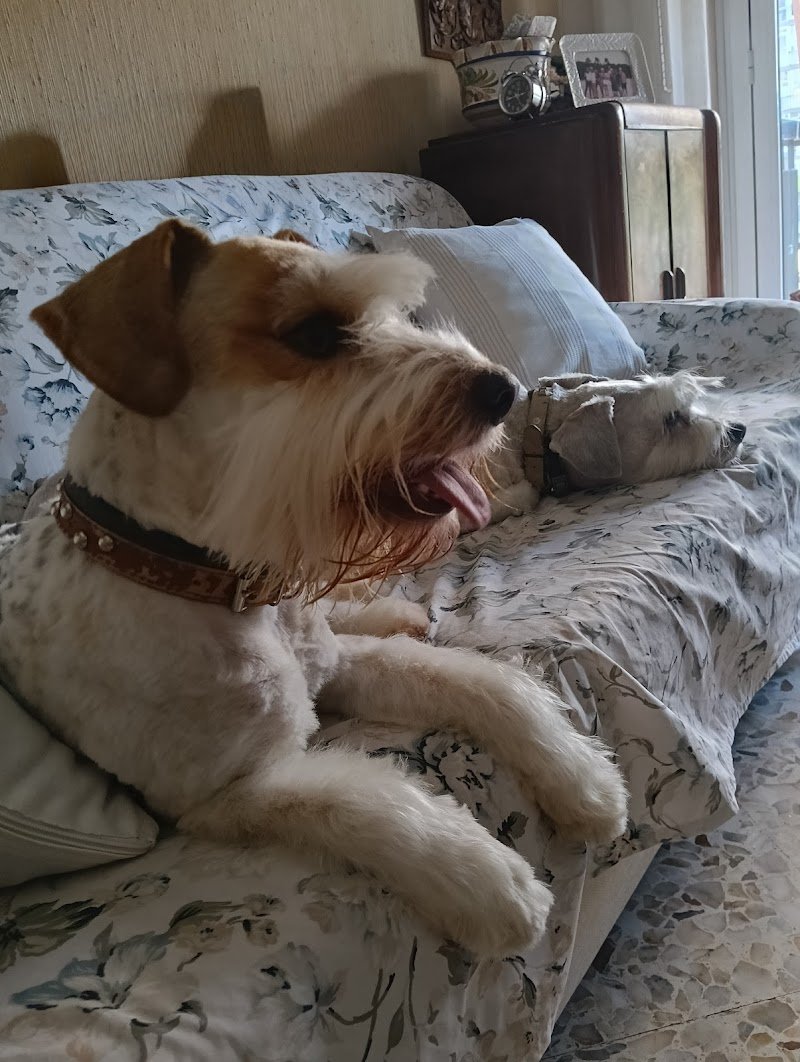 El Peluquero - Foto 2