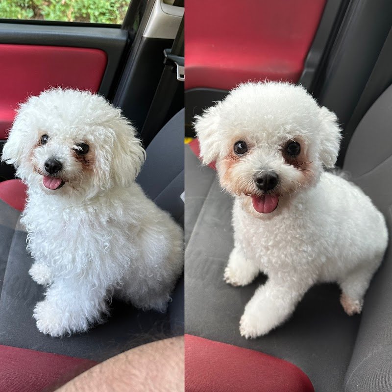 El Peluquero S.A.S. - Foto 3