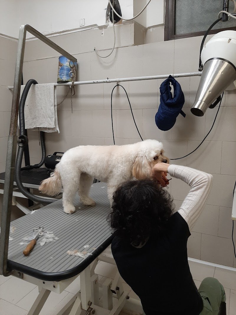 El Peluquero S.A.S. - Foto 4