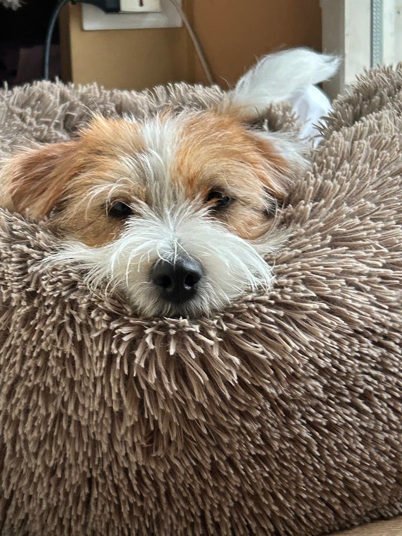 El Peluquero S.A.S. - Foto 5