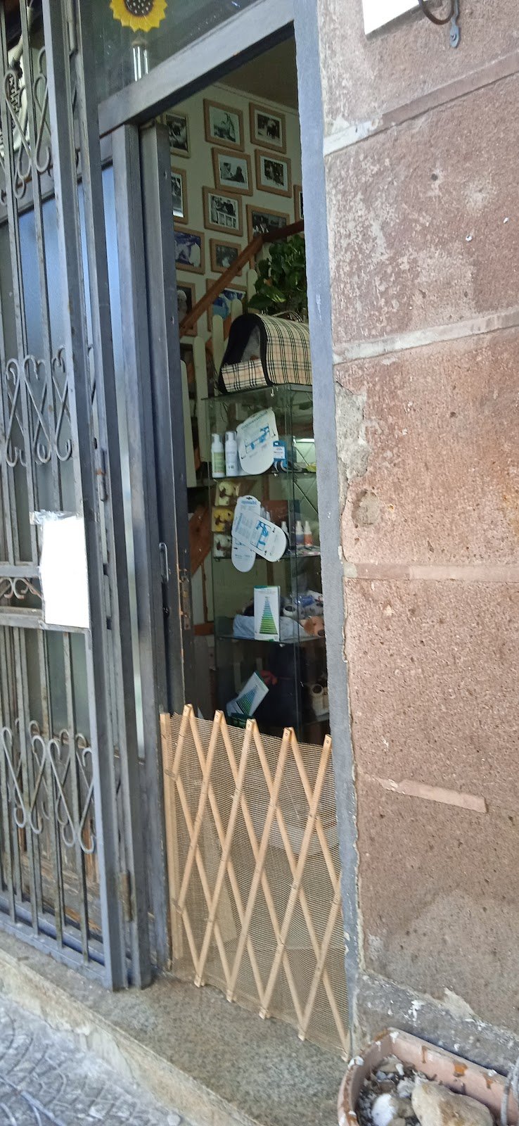 El Perro Lindo - Foto 1