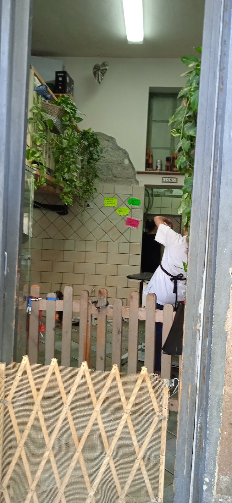 El Perro Lindo - Foto 5