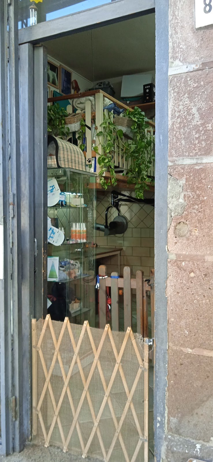 El Perro Lindo - Foto 6