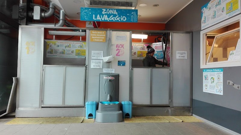 Ele e Giò Toelettatura - Lavaggio Cani - Foto 4