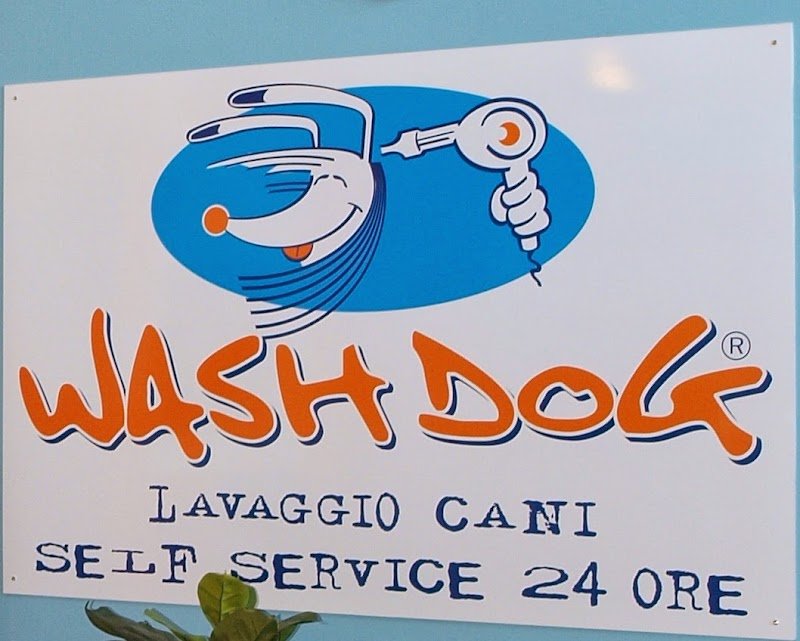 Ele e Giò Toelettatura - Lavaggio Cani - Foto 6