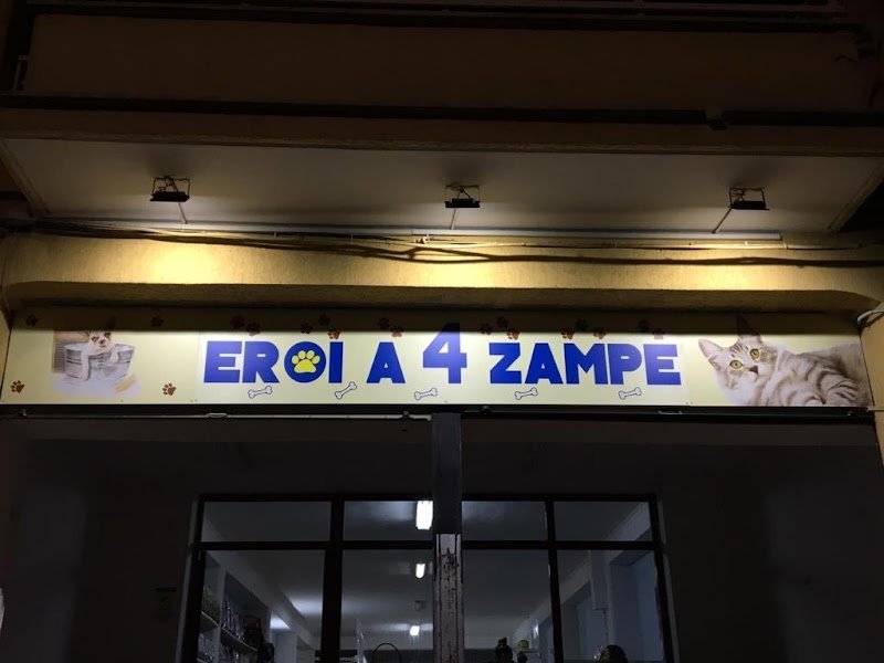 EROI A 4 ZAMPE di Sandra Costantini - Foto 1