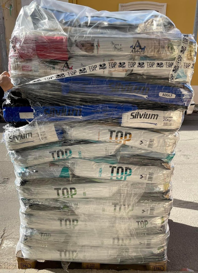 EROI A 4 ZAMPE di Sandra Costantini - Foto 5