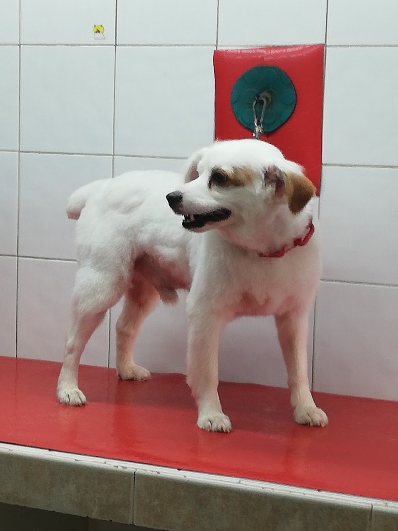 Esposito Maurizio Roma - Foto 2