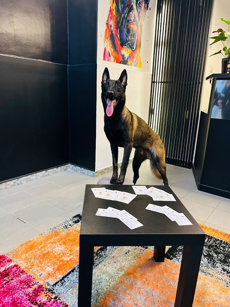 Ethos un mondo a 4 zampe Dog Spa - Foto 2