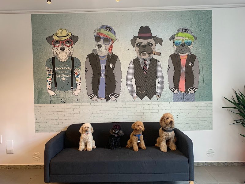 Ethos un mondo a 4 zampe Dog Spa - Foto 4