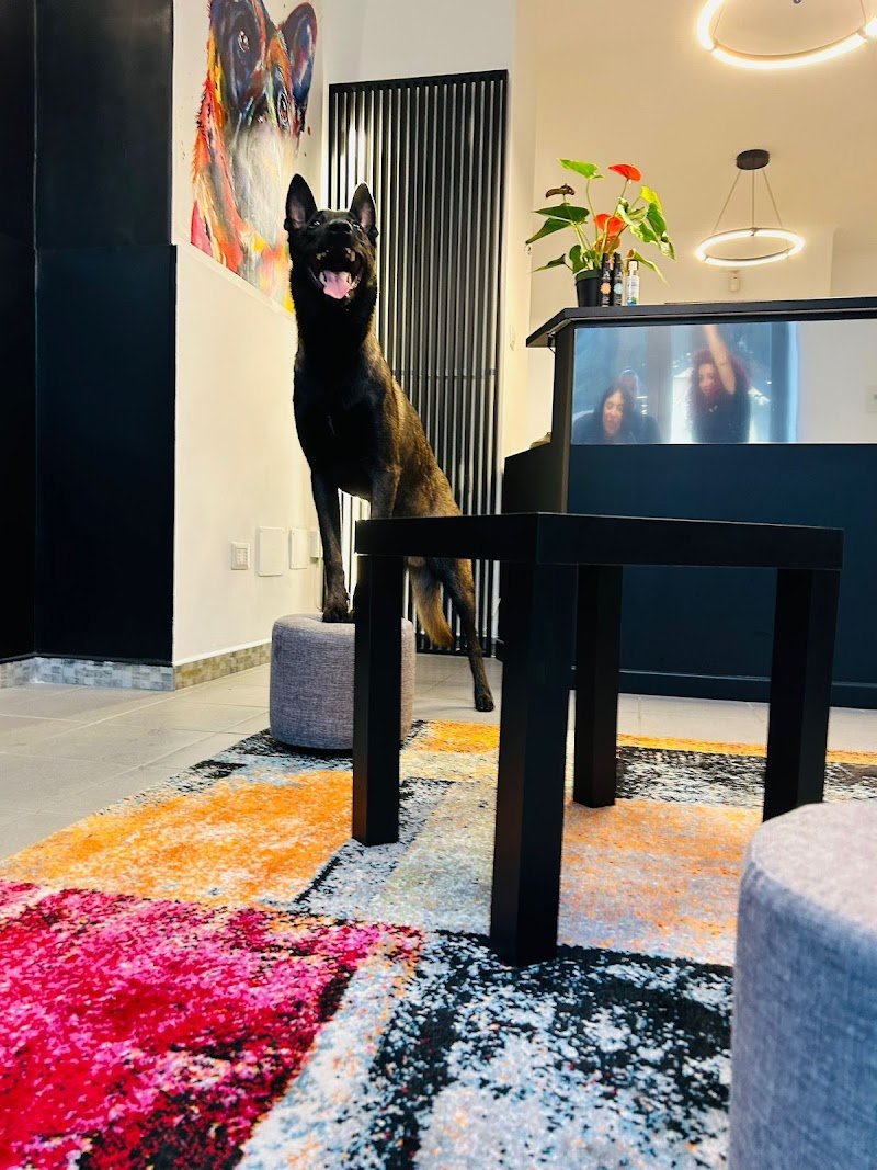 Ethos un mondo a 4 zampe Dog Spa - Foto 6