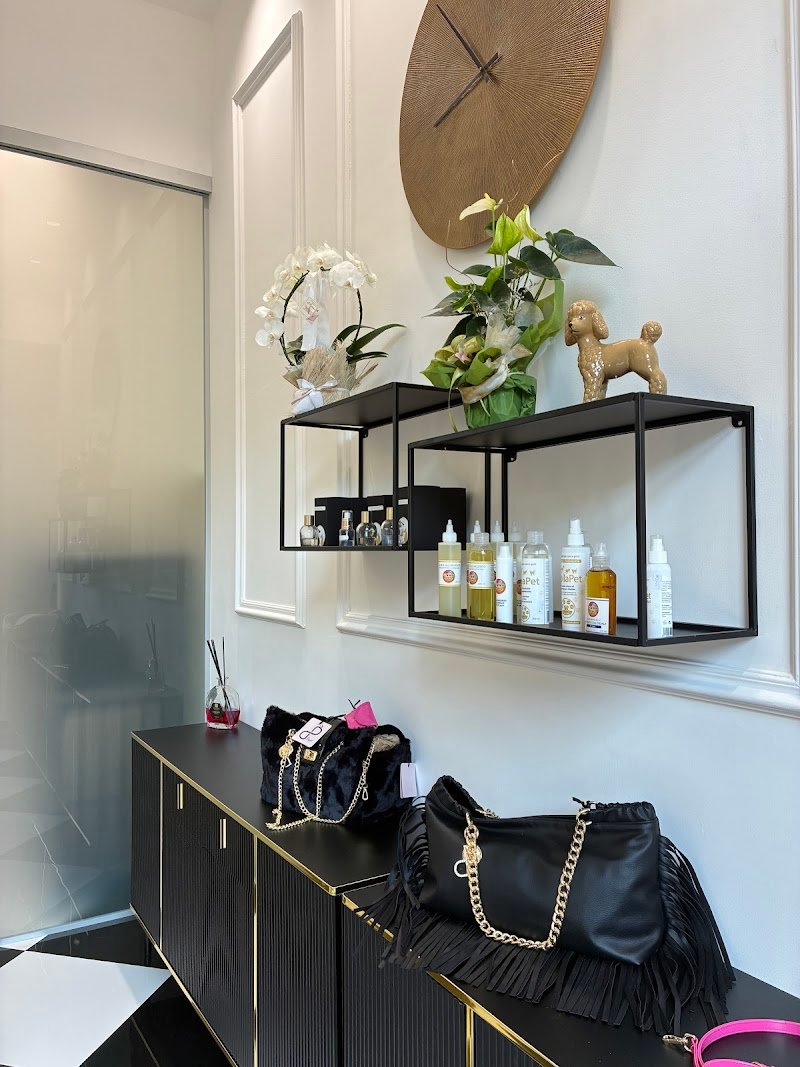 evopet grooming & care - Foto 1