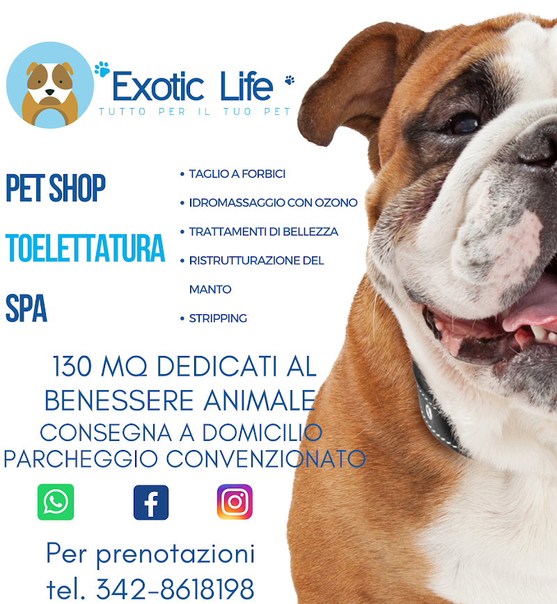 Exotic Life Beauty & SPA - Foto 1