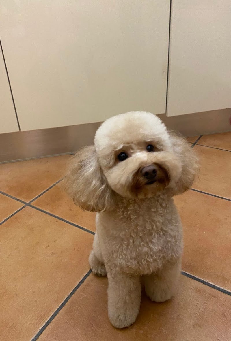 Exotic Life Beauty & SPA - Foto 3