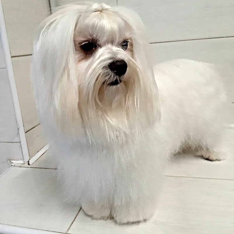 Exotic Life Beauty & SPA - Foto 4