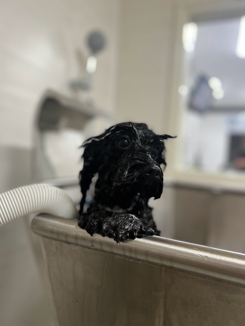 Exotic Life Beauty & SPA - Foto 6