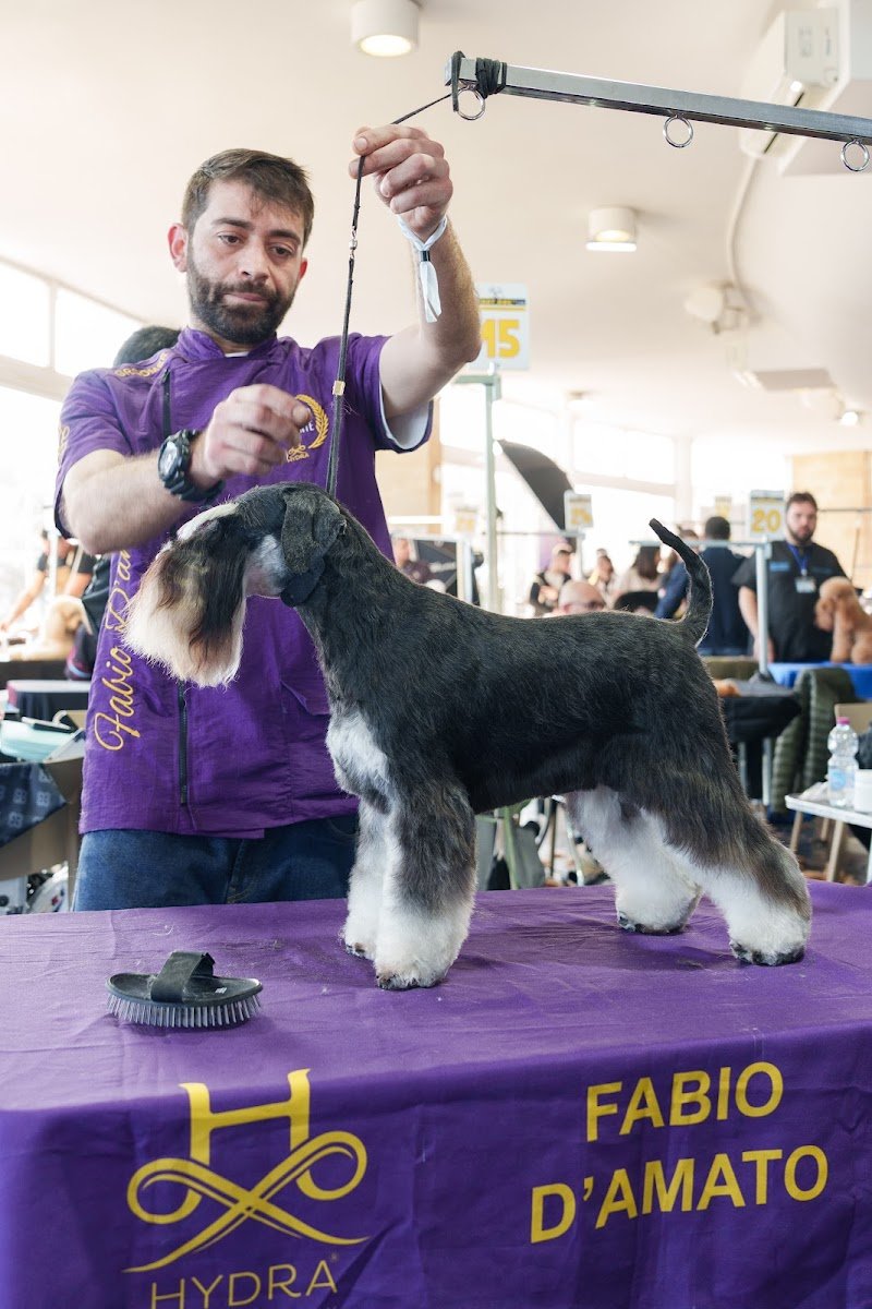 Fabio D'amato GROOMING CENTER - Foto 1