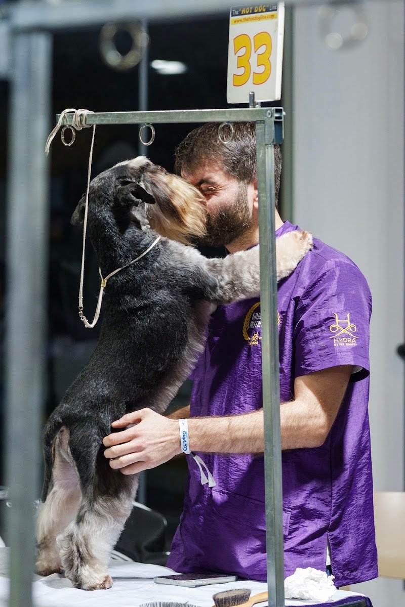 Fabio D'amato GROOMING CENTER - Foto 5