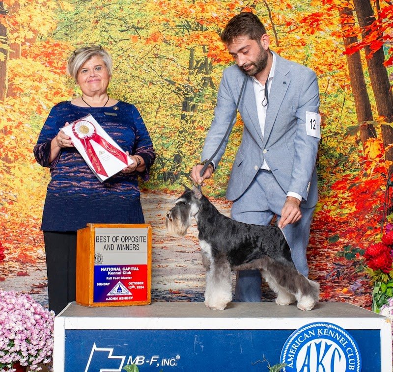 Fabio D'amato GROOMING CENTER - Foto 6