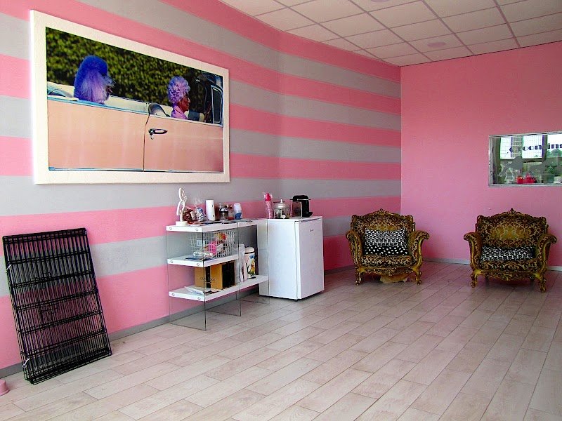 Facciamoci Belli - Foto 2