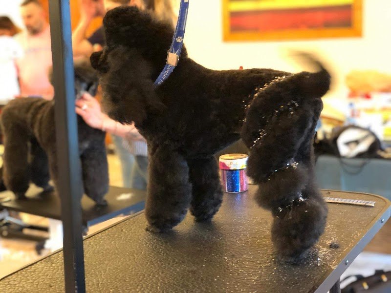 Facciamoci Belli - Foto 3